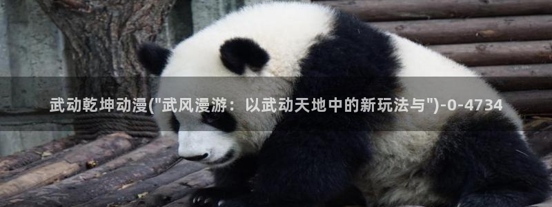 黄片动漫