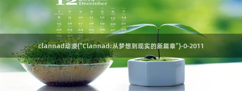风之动漫：clannad动漫(\