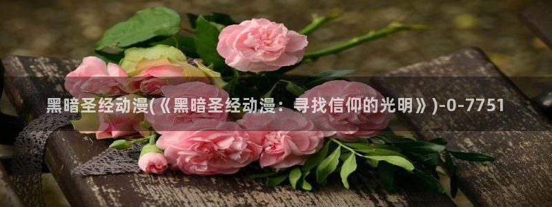 日本动漫在线：黑暗圣经动漫(《黑暗圣经动漫：寻找信仰的光明》)