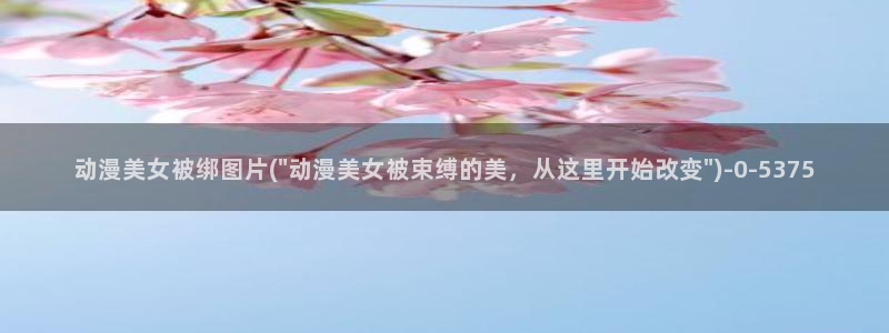 动漫bt