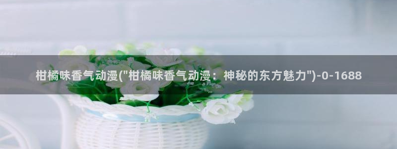 动漫小说