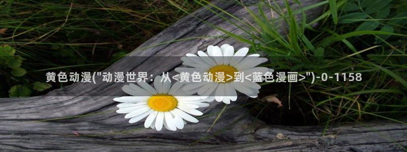 天堂动漫网